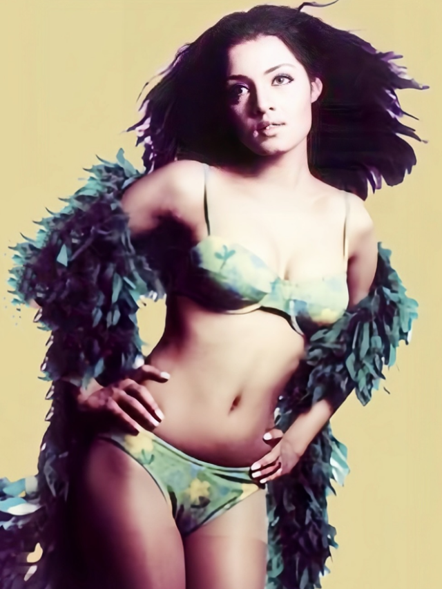 Celina Jaitly Accuses Husband Peter Haag of Domestic Violence